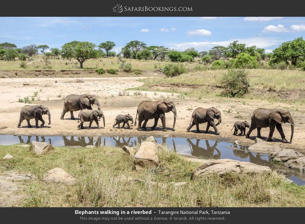 Tarangire National Park